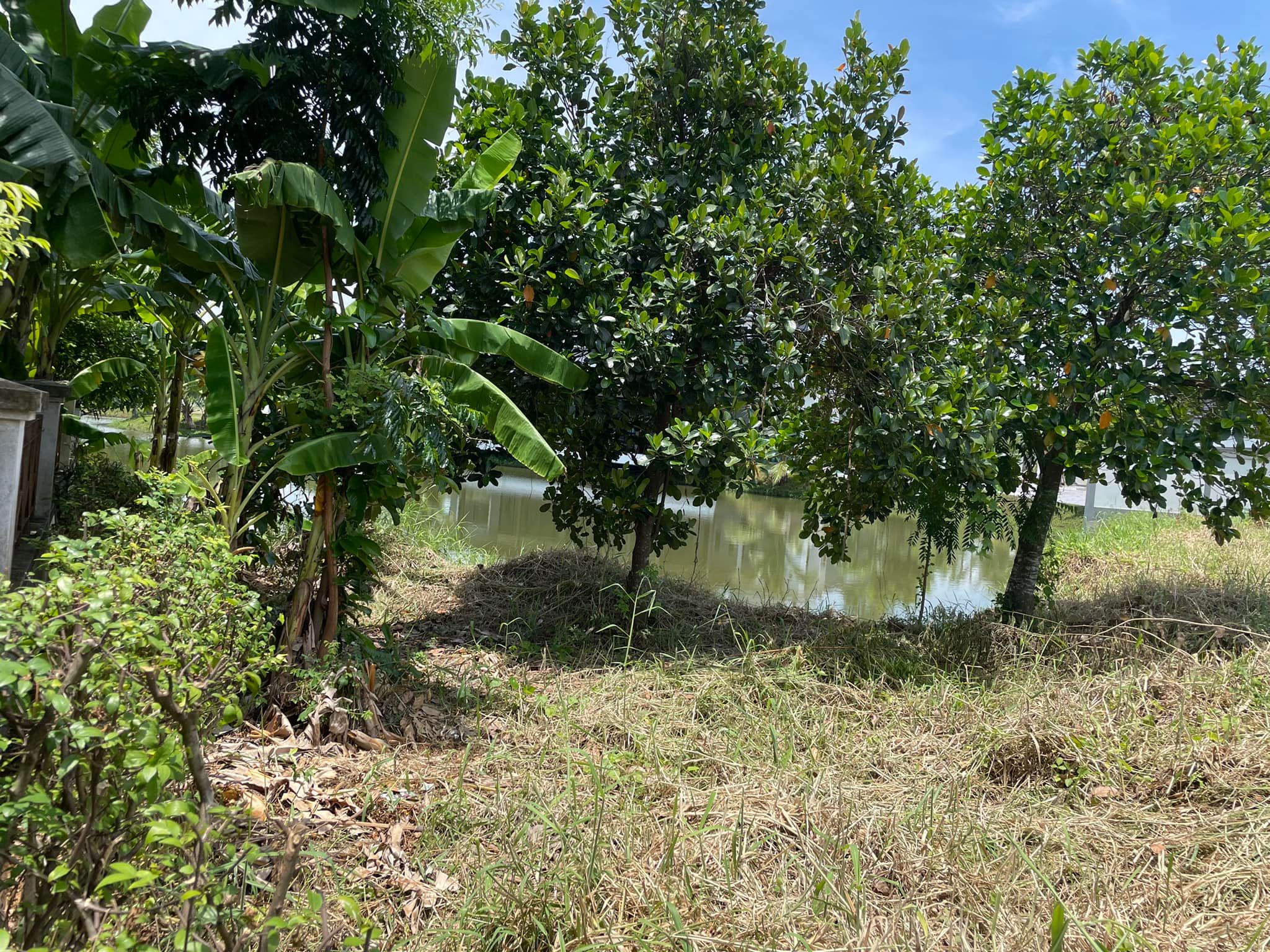 ขายที่ดินติดน้ำ หมู่บ้านไม้อิงธาร บางกรวย ใกล้มหิดล ศาลายา 200-600 ตรว.